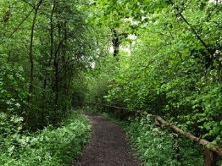 New Cafcass advice - How can I co-parent effectively during lockdown?