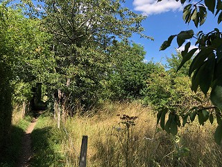 Law Society guidance -