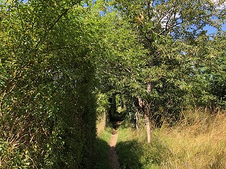 Getting back to business in the family courts: Cloud Video Platform