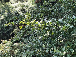 How to fairly handle pensions following divorce - clear national guidance Part 1