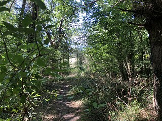 Cafcass contacts Association of Lawyers for Children