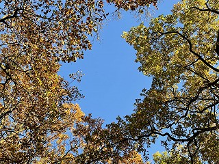 Latest published family mediation statistics comparable to pre-pandemic levels