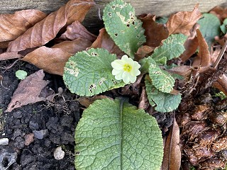 £8million costs for a divorce causes further outrage