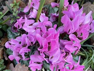 Record £554m divorce settlement