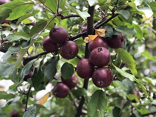 Cohabiting: what legal protection have I should we break up?