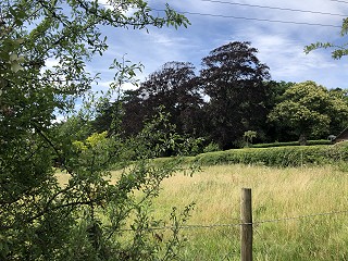 Specialist Resolution Accreditation