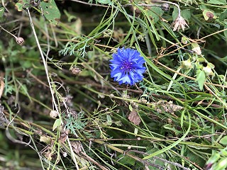 A £450m divorce battle - high court divorce case legal battle reaches conclusion