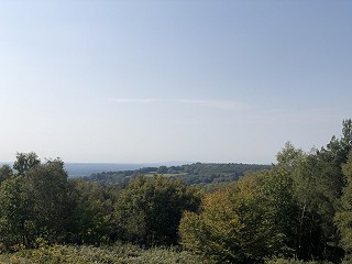 Transparency in the Family Courts