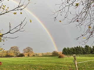 Attendance at Resolution's Family Law... LIVE