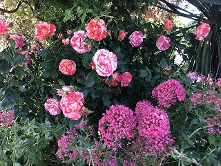 Applying online for a divorce