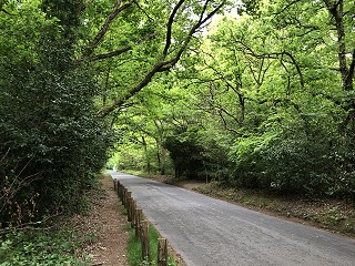 Covid-19 information booklet for Children and Young People