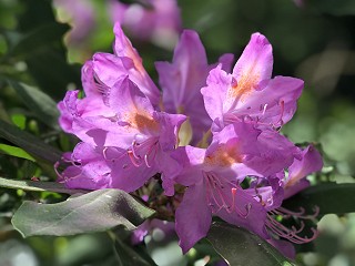 Things to look for when seeking a fair decision on finances or child arrangements following divorce or separation