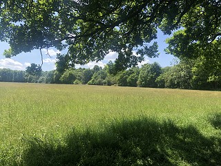 Electronic bundles for the age of videoconferencing and remote courts