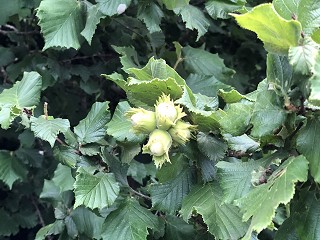 Latest statistics show marked upturn in private family law cases