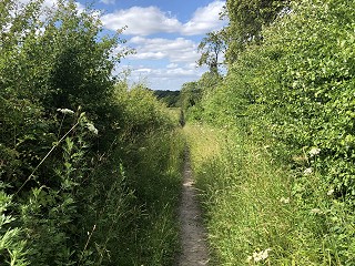 Telling your children you are getting a divorce, separating or splitting up.