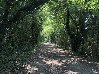 Child arrangements after divorce or separation