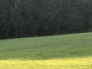 'Silver Splitters' missing out on state pension rights following divorce in later life